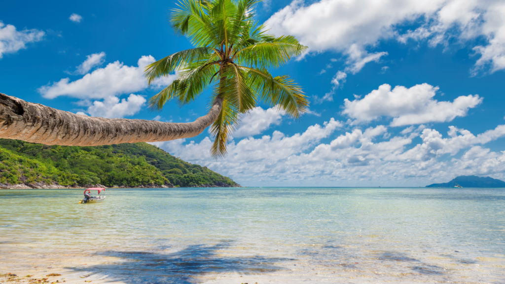Beyond Goa and Kerala: 5 Spectacular Coastal Destinations for Your Next Corporate Retreat