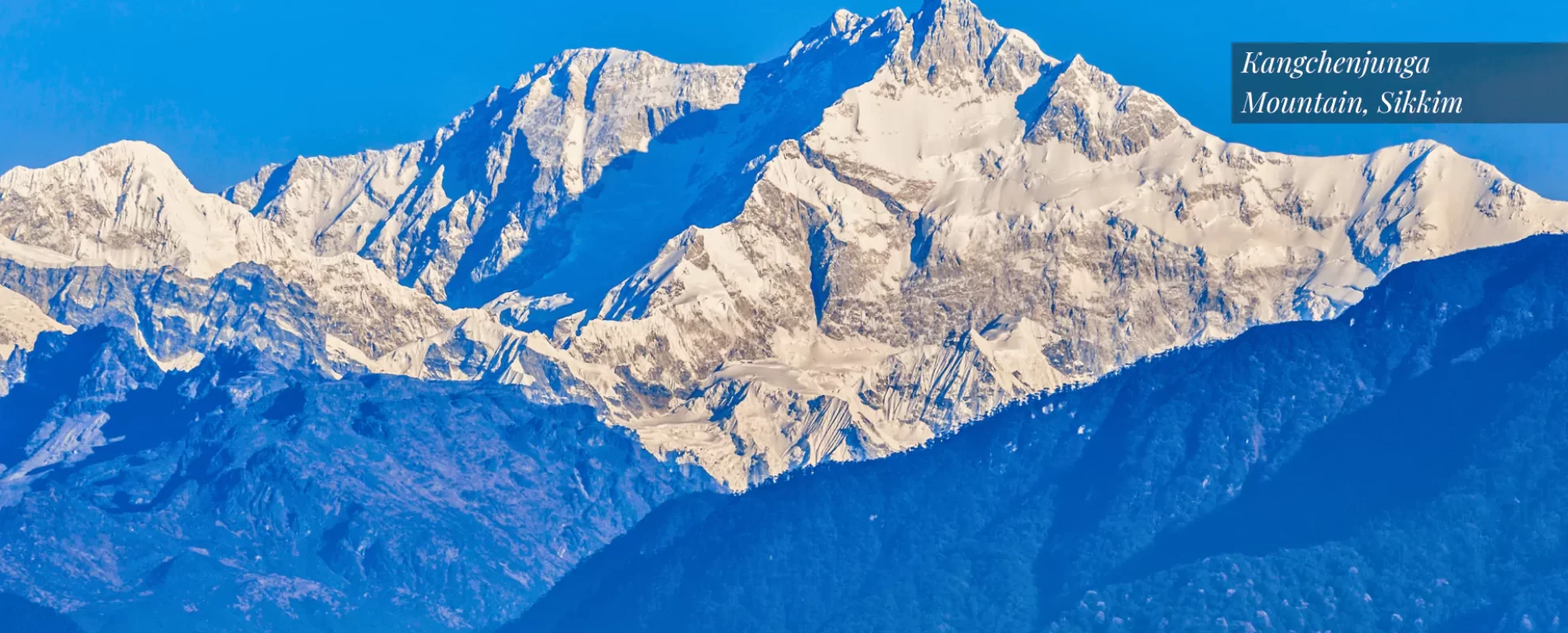 The Hotel Firm Banner6