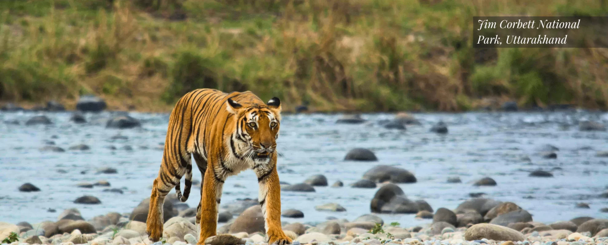 The Hotel Firm Banner3